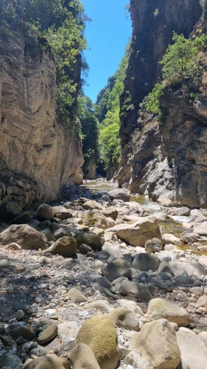 10η Διεθνής Καλοκαιρινή Κατασκήνωση Gestalt – Ιούνιος 2025